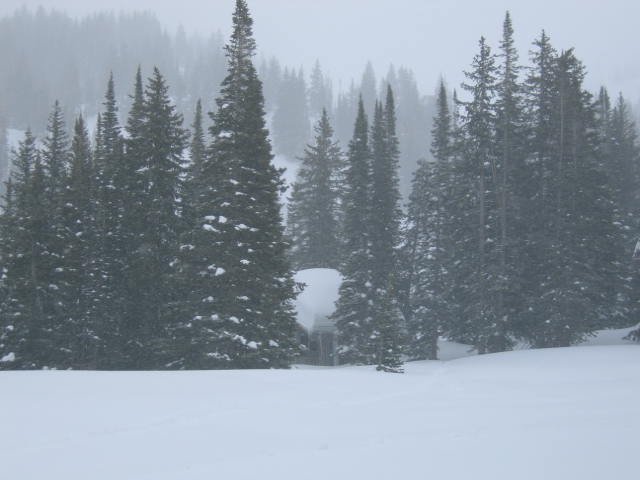 04-05 season, overnight snow on a cabin roof