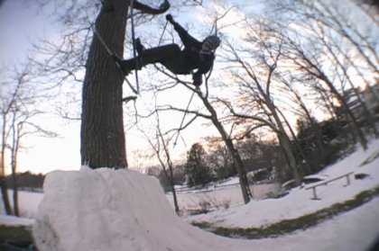 backyard tree tap