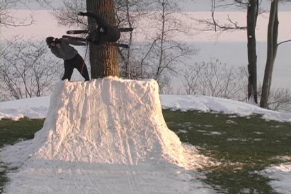 backyard tree quarter pipe far out view