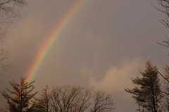 Huge Rainbow in my backyard