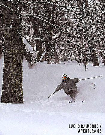 argentinian skier (powder)