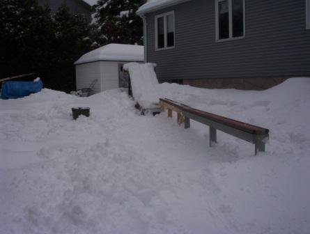 updated backyard setup