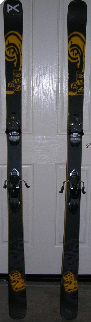 Fischer Riu skis