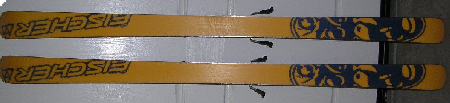 Fischer Riu skis