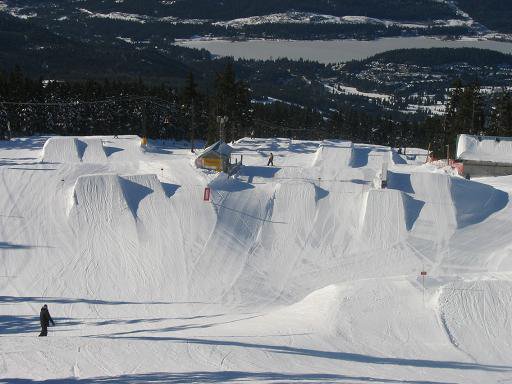 whistler park from top