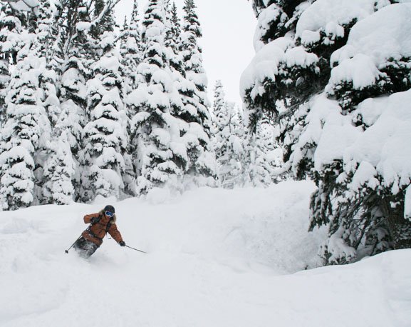 First day of powder