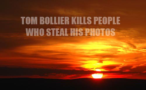 Dont steal photos