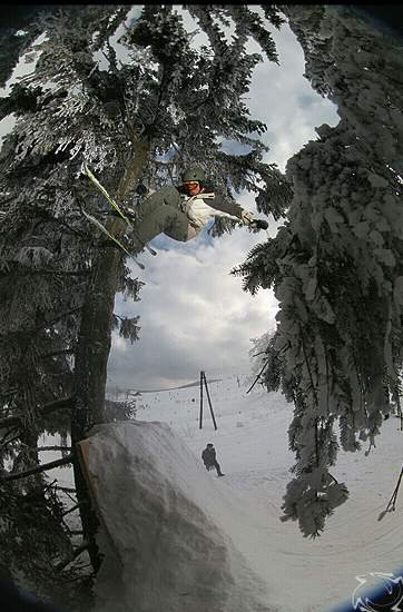 Tree ride