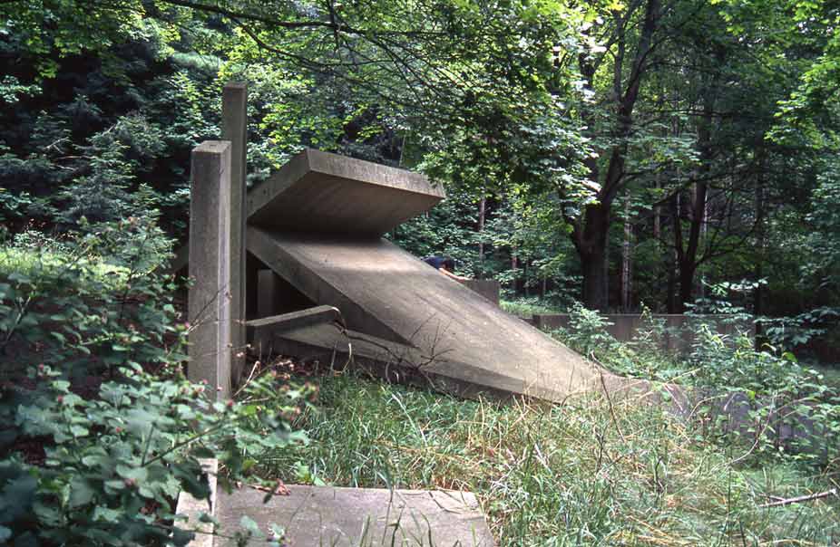 found in the woods at a rest stop