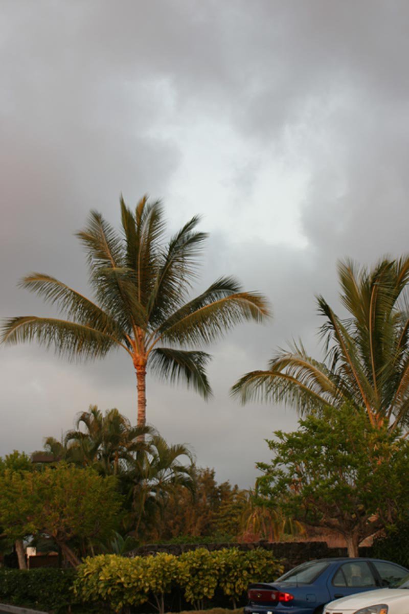 rainy day in hawaii