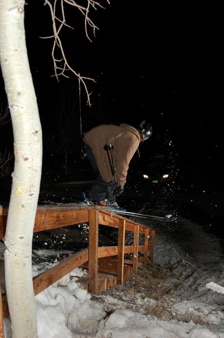 Wood Rail at night