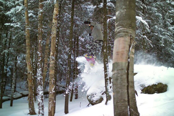 In the birches at Whiteface