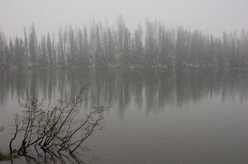 Snow on the Lake