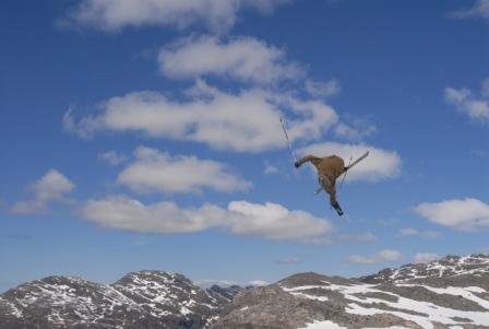 Cork 7 rev. tail   tweak!!!