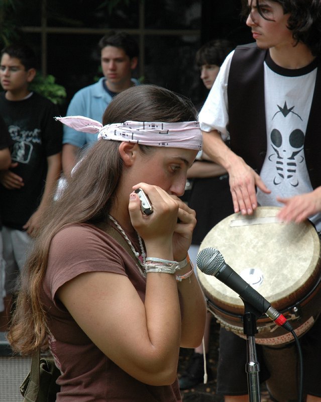 Harmonica hippie