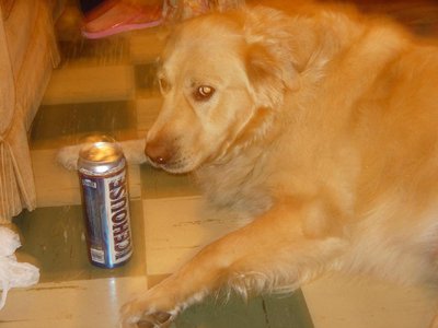 Dog Beer