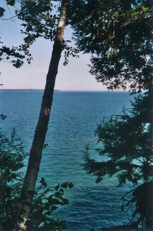 The lake