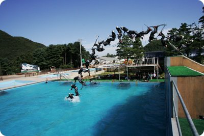 Double Backflip