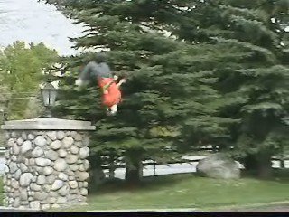 Mad back flip