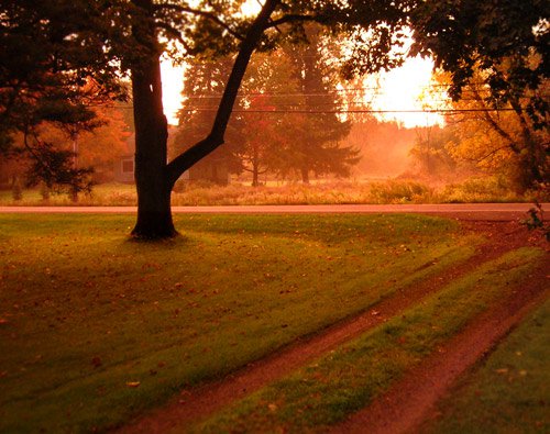 Front Lawn Sunrise