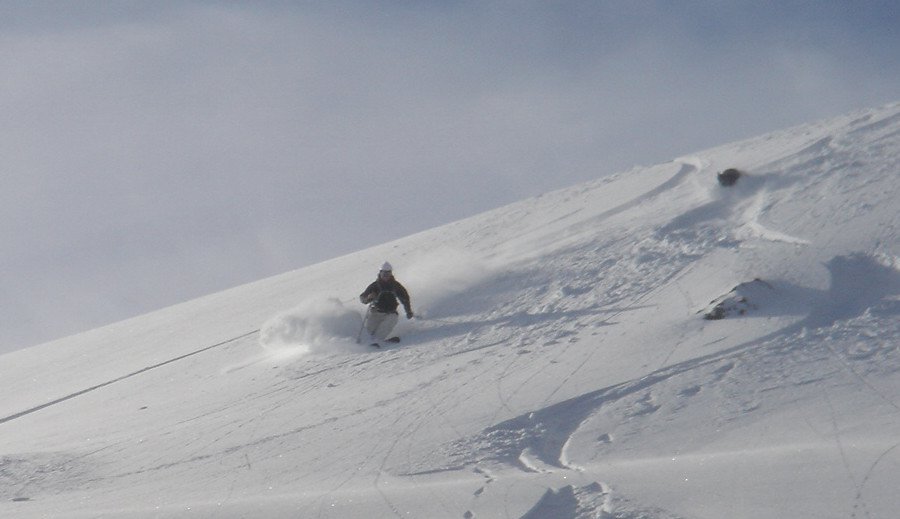 Charlotte and Onyx Enjoying the Powder