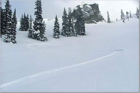 Pow Tracks