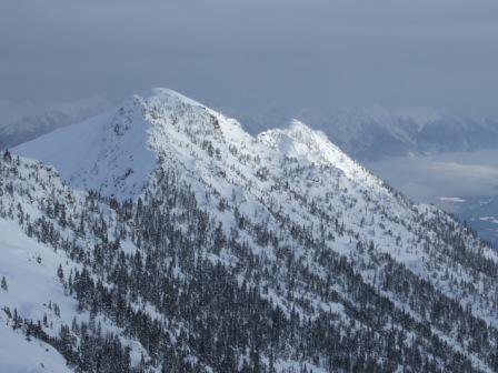 Kicking horse