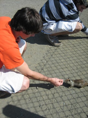 Feeding the squirells