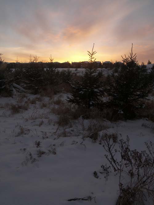 Sunset at the creek