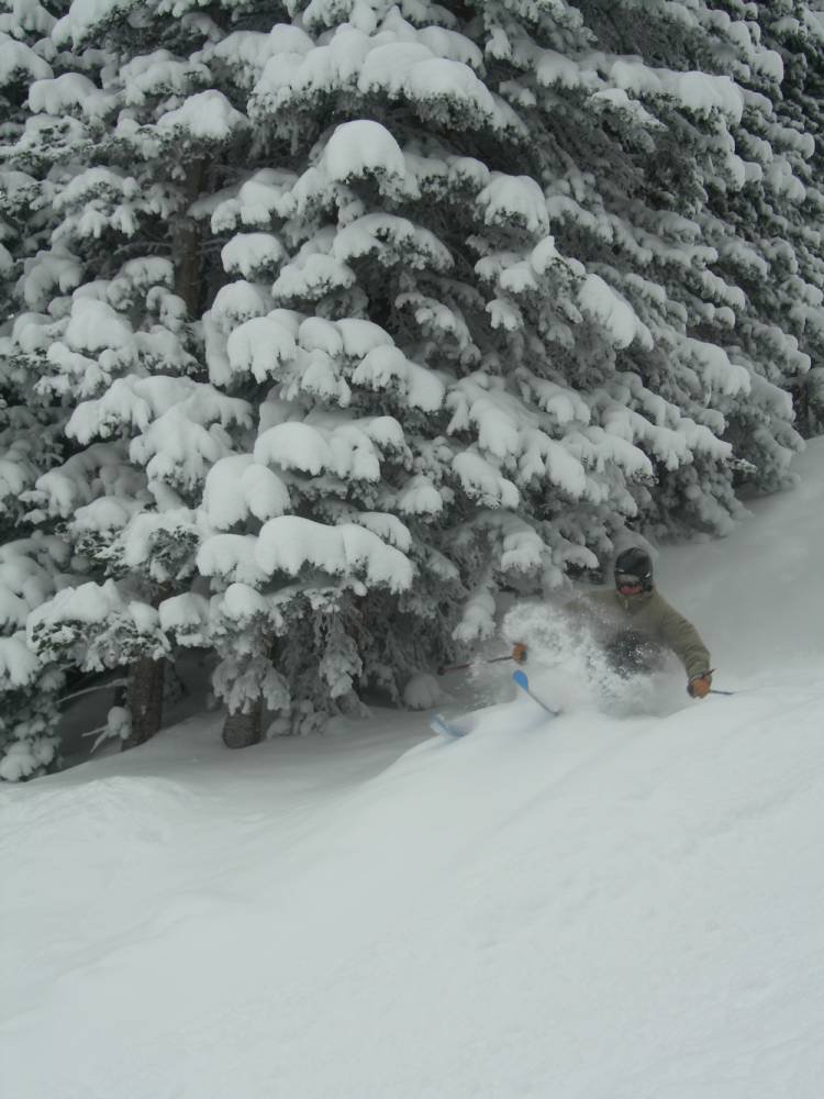 Troy skiing some pow next to a tree