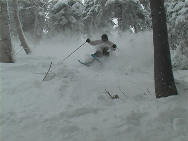 East Coast Shreddin'