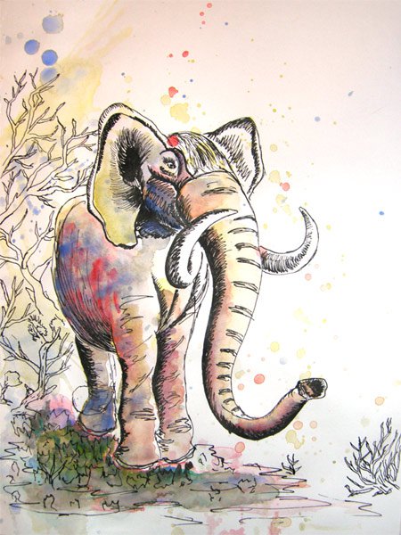 Elephant sketch