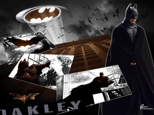 Oakley Batman Pro's