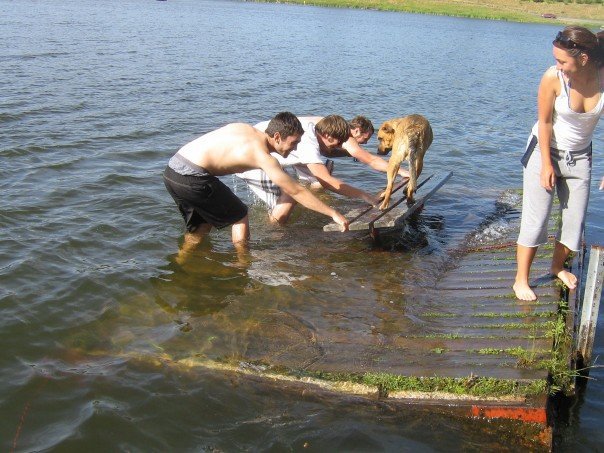 Hey! Lets sink a dock!