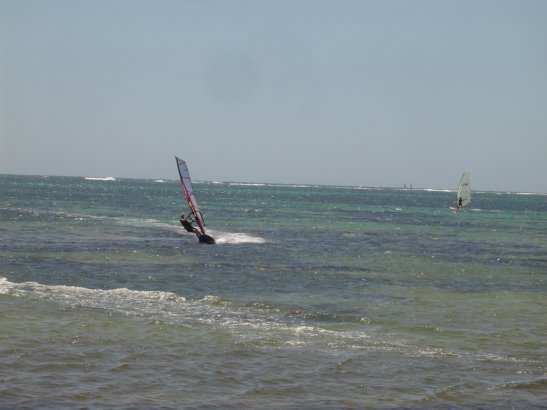 Me windsurfing