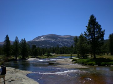 Looking Up a creek