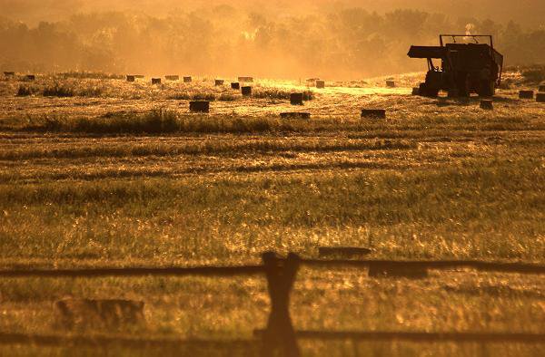 Harvest