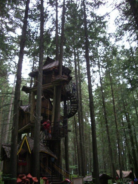 Dopest Tree house