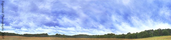 August corn field