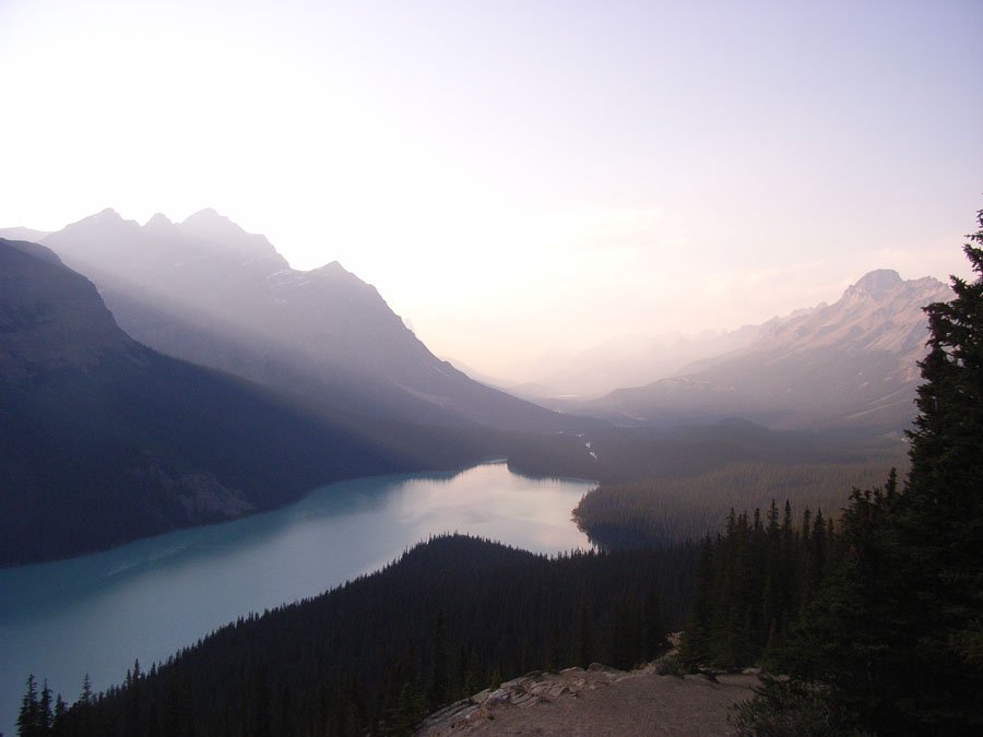 Peyto Glacier Area