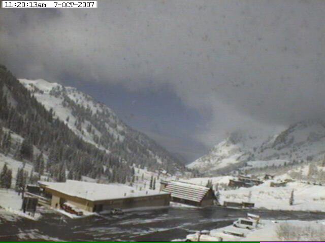 Alta Today 4