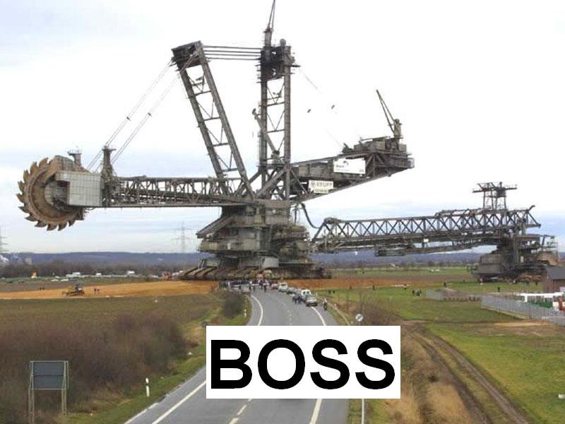 Boss as fuck