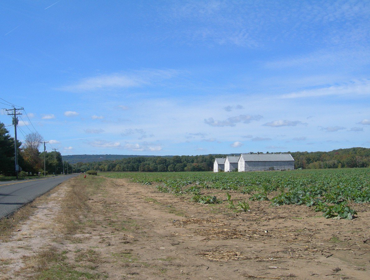 Baccy Barns by ma casa