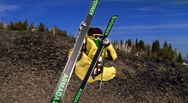 Schiller the Ninja