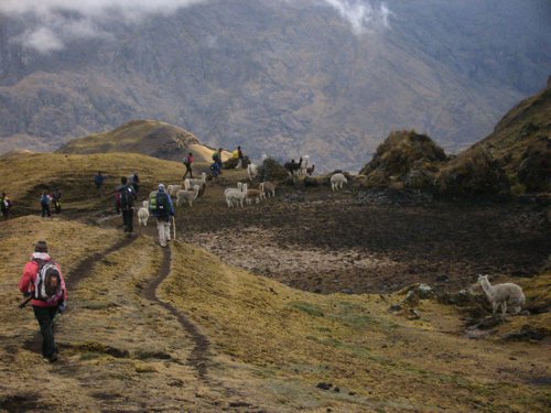 Andes trek