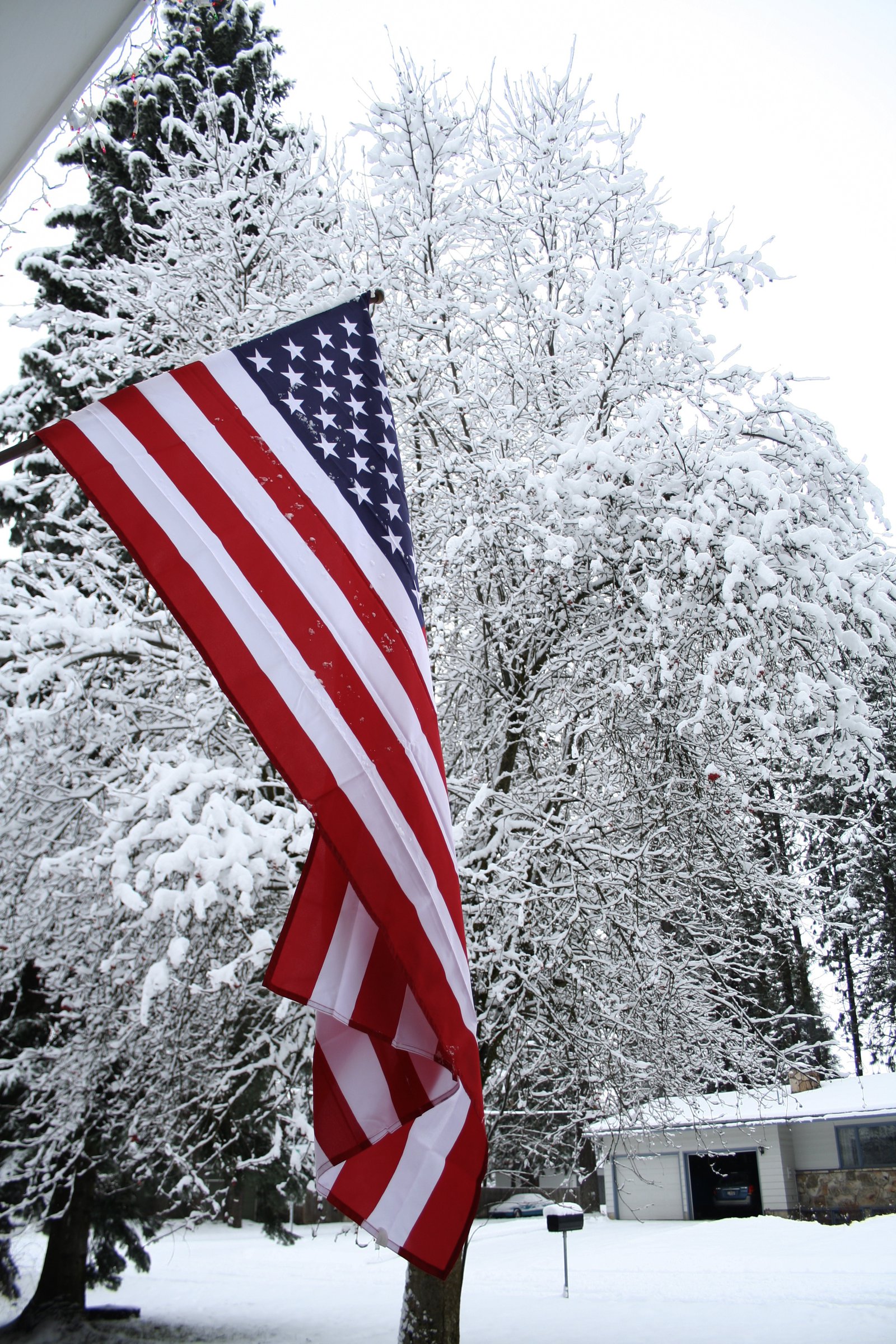 US flag & snow covered tree