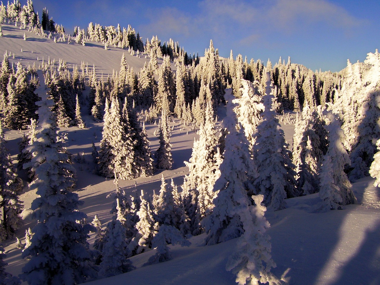 Untouched Backcountry, BC