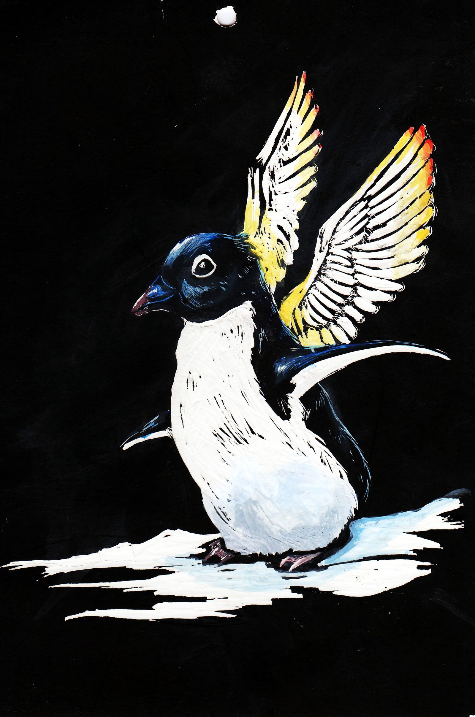 Flying Penguin