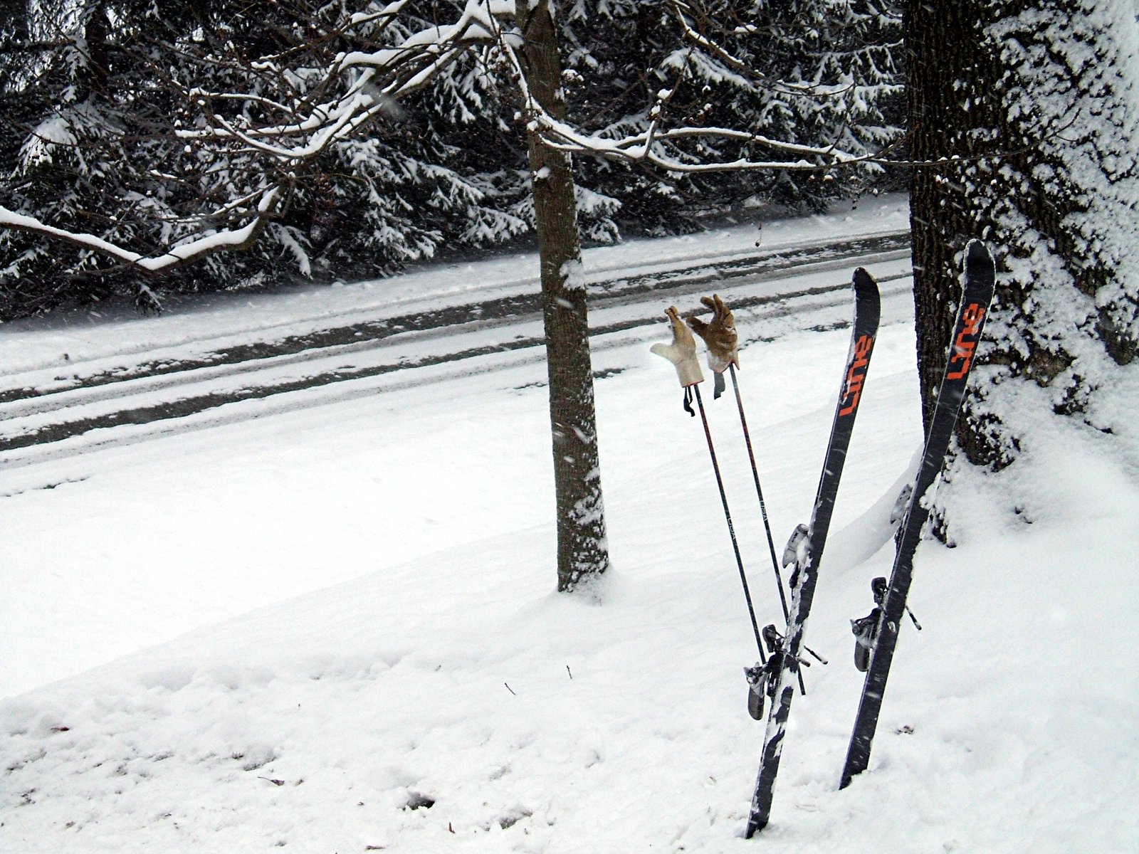 Backyard skiing