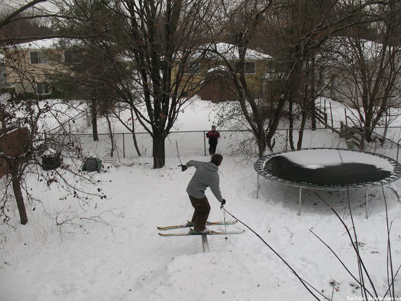 Backyard Fun